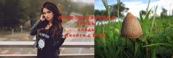 каннабис Гусь-Хрустальный