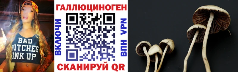 omg онион Егорьевск Псилоцибиновые грибы Psilocybe